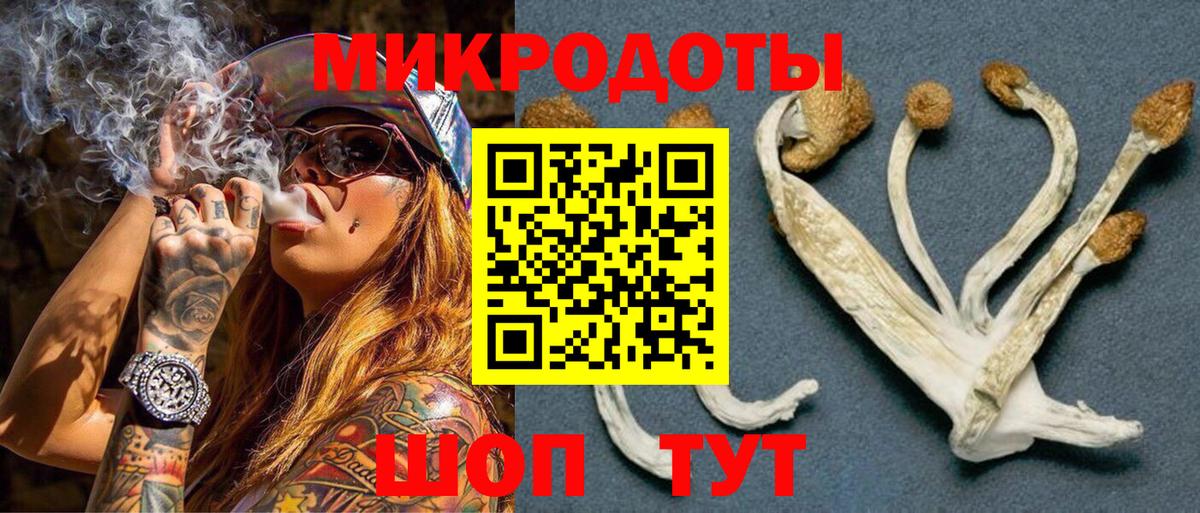 Нововоронеж  Галлюциногенные грибы Cubensis  Псилоцибиновые грибы Psilocybine cubensis  Вход с VPN 